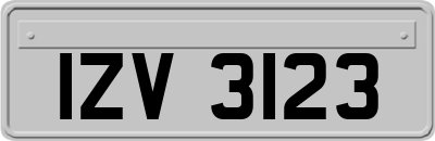 IZV3123