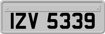 IZV5339