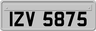 IZV5875