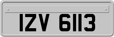 IZV6113