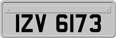 IZV6173