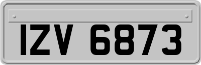 IZV6873