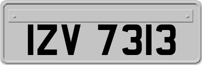 IZV7313