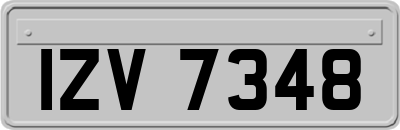 IZV7348