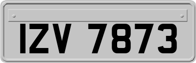 IZV7873