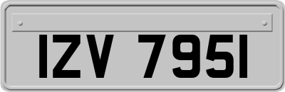IZV7951