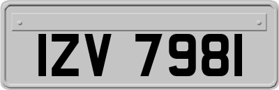 IZV7981
