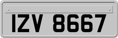 IZV8667