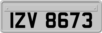 IZV8673