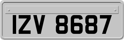 IZV8687