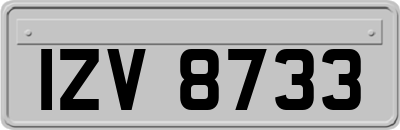 IZV8733