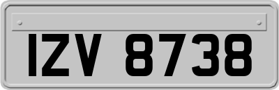 IZV8738