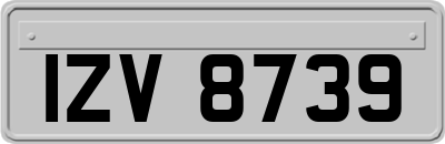 IZV8739