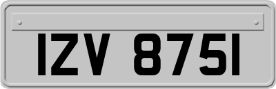 IZV8751