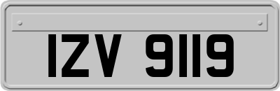 IZV9119