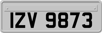 IZV9873