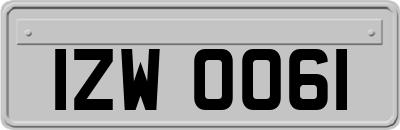 IZW0061