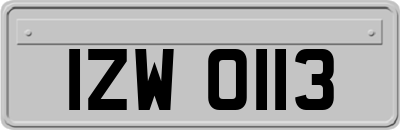 IZW0113