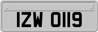IZW0119