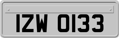 IZW0133
