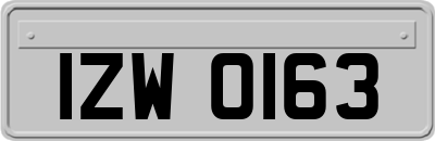 IZW0163