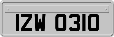 IZW0310