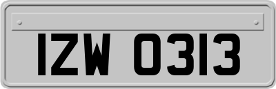 IZW0313