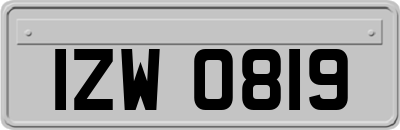 IZW0819