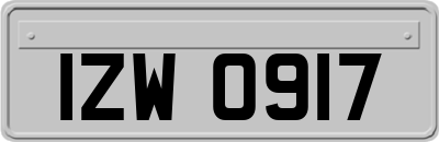 IZW0917