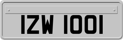 IZW1001