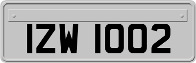 IZW1002