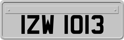 IZW1013