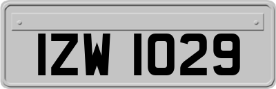 IZW1029
