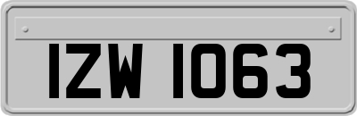 IZW1063