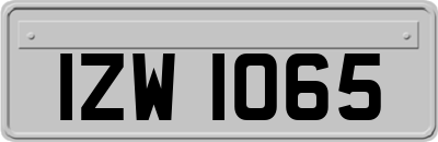 IZW1065
