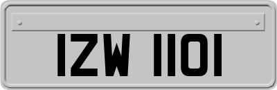 IZW1101