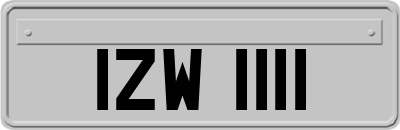 IZW1111