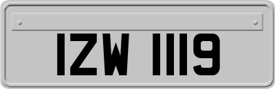 IZW1119