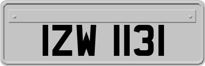 IZW1131