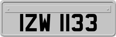 IZW1133