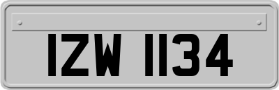 IZW1134