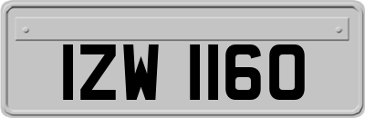IZW1160
