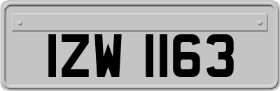 IZW1163