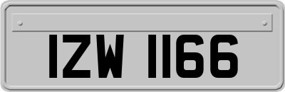 IZW1166