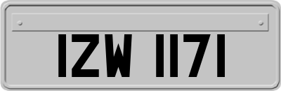 IZW1171