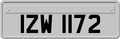 IZW1172