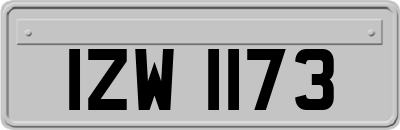 IZW1173