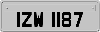 IZW1187