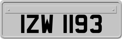 IZW1193