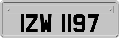 IZW1197